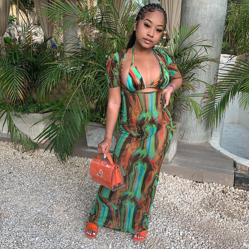 Women's Fashion Sexy Hollow Printed Mesh Dress