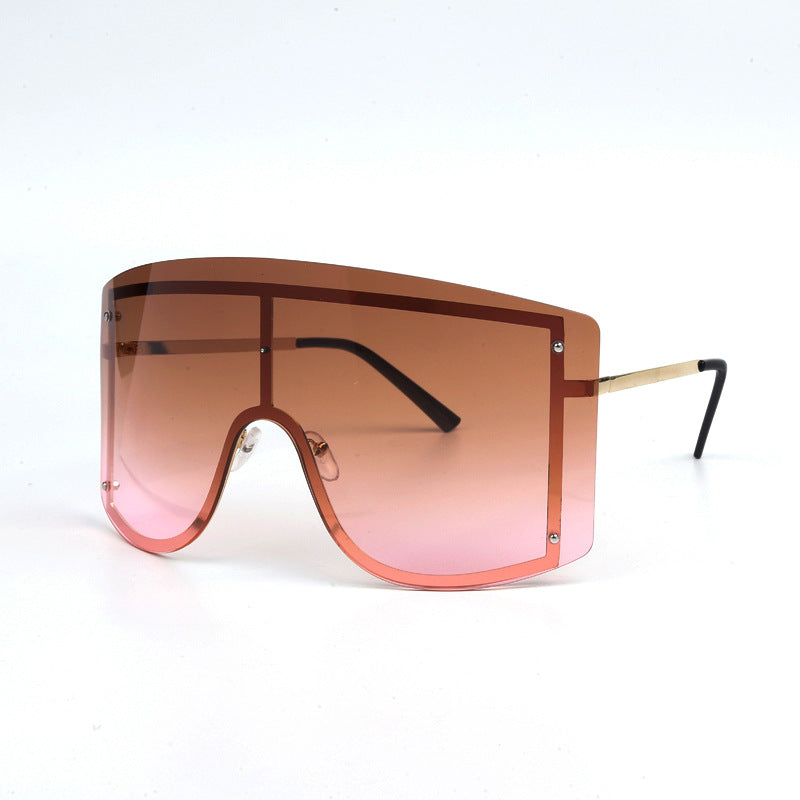 "Blocking The Haters" Sunglasses