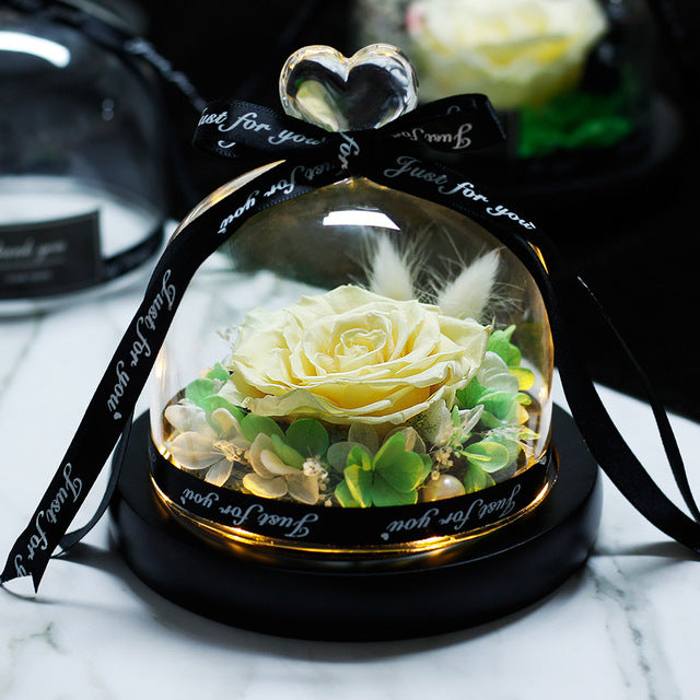 Mother Day Preserved Flowers Globe