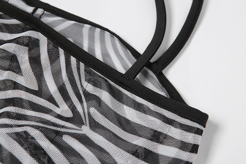 Zebra Pattern Sexy Mesh Printed Bodysuit Jumpsuit Set