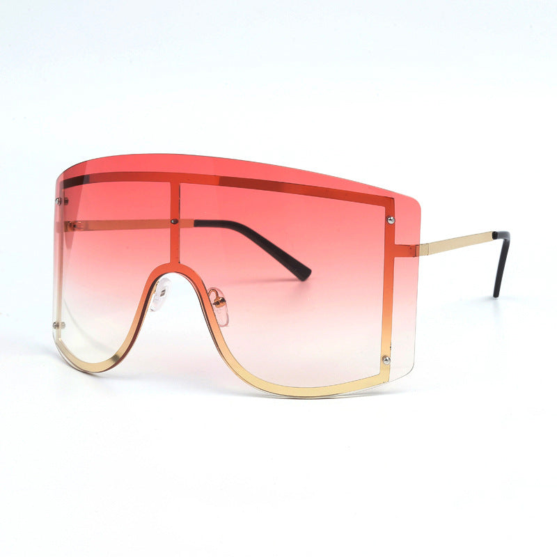 "Blocking The Haters" Sunglasses