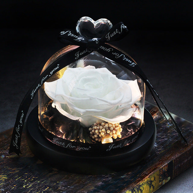 Mother Day Preserved Flowers Globe