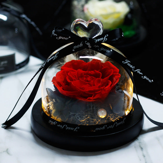 Mother Day Preserved Flowers Globe